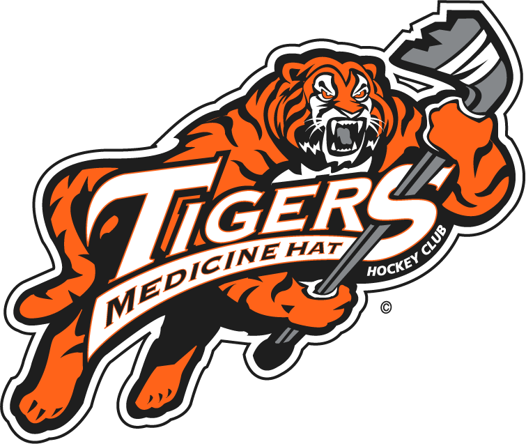 medicine hat tigers 1998-2003 primary logo iron on transfers for T-shirts